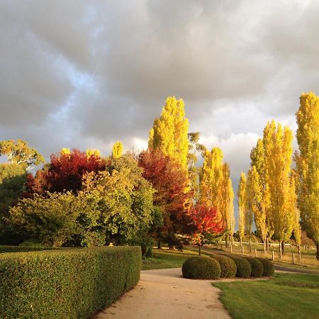 Glen Waverly Farmstay Glen Innes Εξωτερικό φωτογραφία