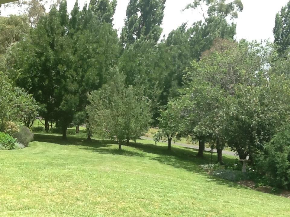 Glen Waverly Farmstay Glen Innes Δωμάτιο φωτογραφία
