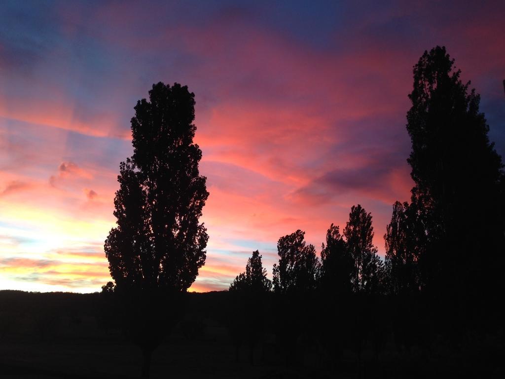 Glen Waverly Farmstay Glen Innes Εξωτερικό φωτογραφία