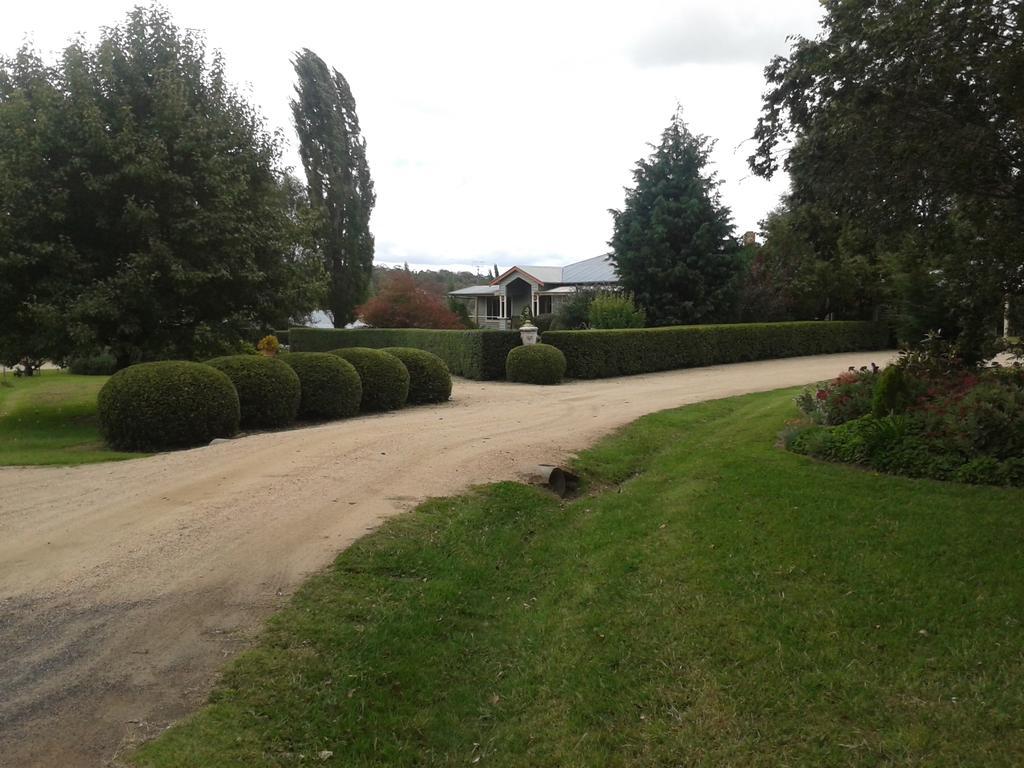 Glen Waverly Farmstay Glen Innes Εξωτερικό φωτογραφία