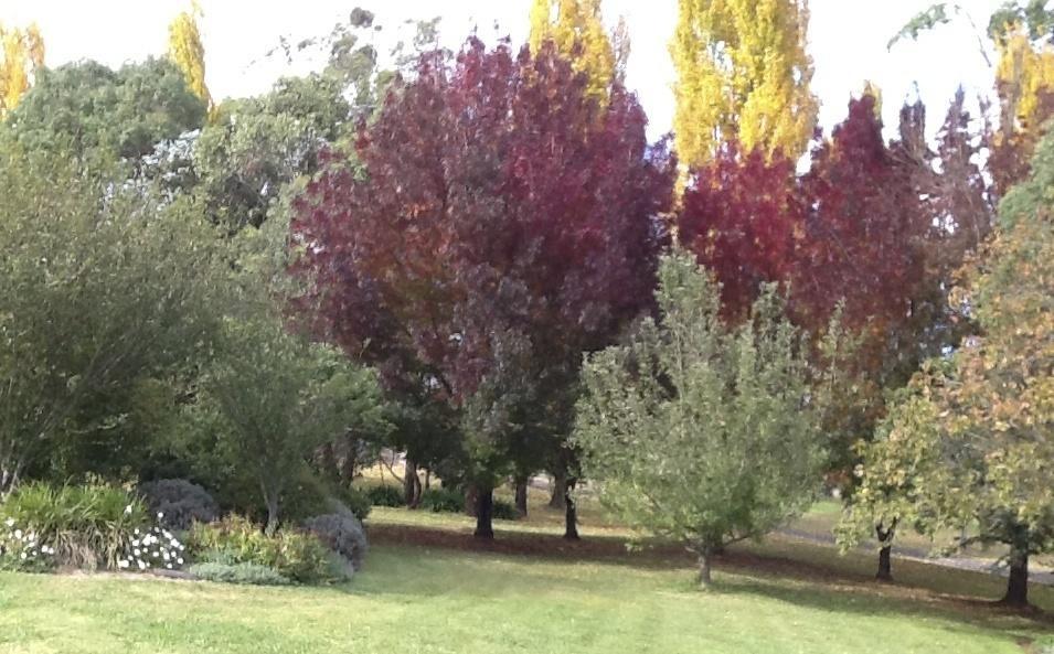 Glen Waverly Farmstay Glen Innes Δωμάτιο φωτογραφία