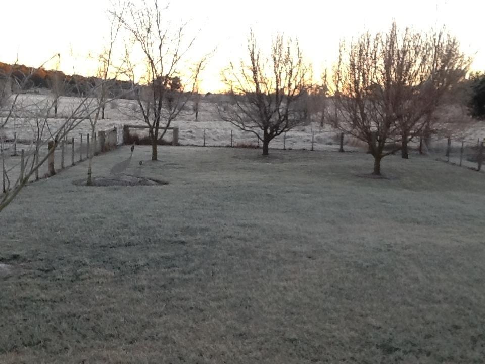 Glen Waverly Farmstay Glen Innes Εξωτερικό φωτογραφία
