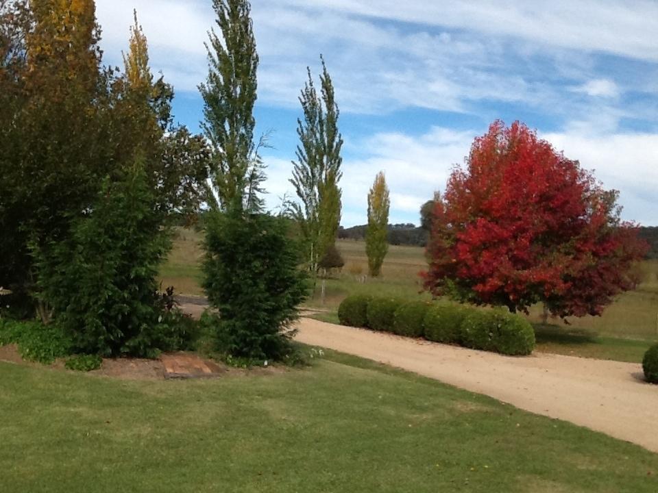 Glen Waverly Farmstay Glen Innes Δωμάτιο φωτογραφία