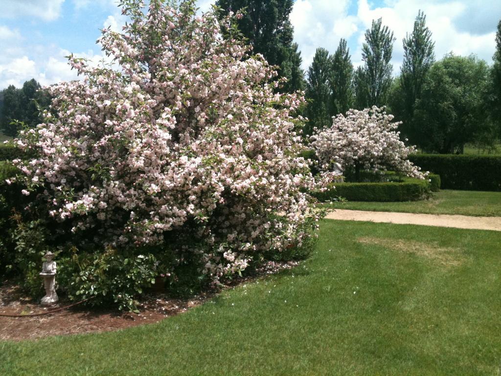Glen Waverly Farmstay Glen Innes Εξωτερικό φωτογραφία